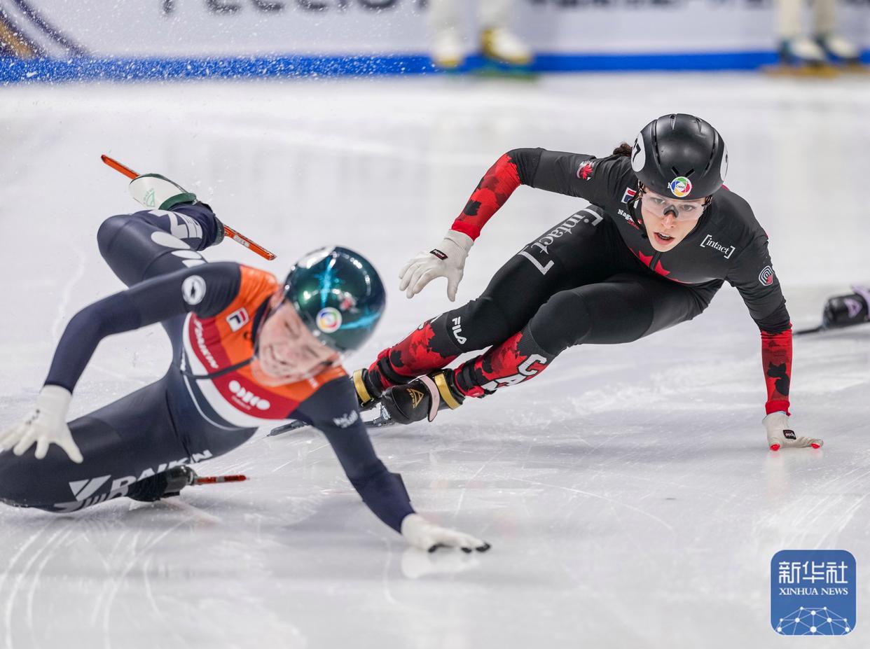  如何提高资料查询准确率 爱游戏官网